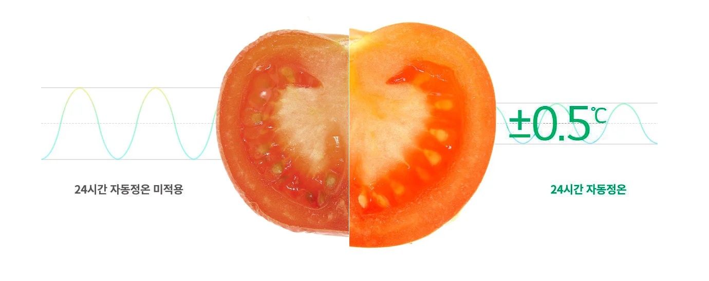 반으로 잘린 토마토가 두 개 나란히 배치되어 있습니다. 왼쪽 토마토는 색이 약간 흐릿하며 24시간 자동정온 미적용이라는 텍스트가 적혀 있습니다. 오른쪽 토마토는 색이 선명하고 ±0.5℃와 24시간 자동정온이라는 텍스트가 있습니다. 배경에는 온도 변화를 나타내는 그래프가 그려져 있습니다.