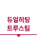 듀얼히팅 트루스팀